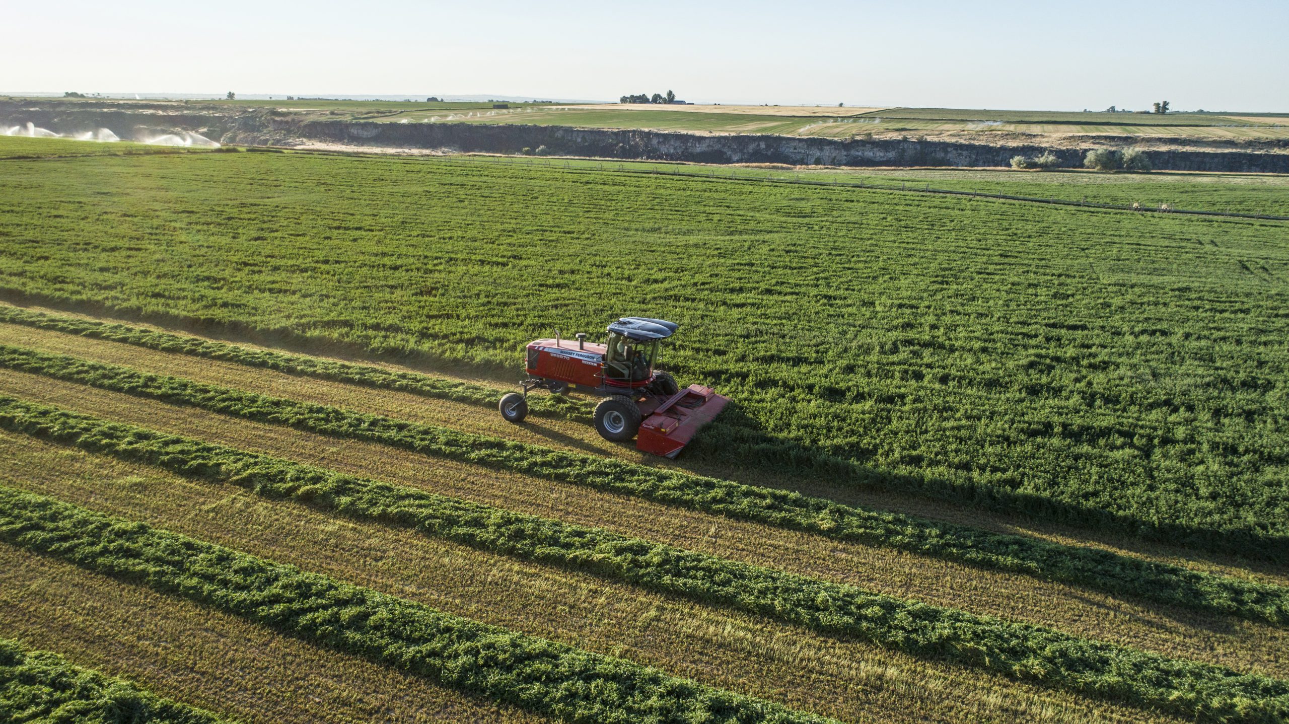 hs17pv001da-hesstonbymasseyferguson-wr9900-selfpropelledwindrower-alfalfa-idaho-2017-DJI-0008-scaled