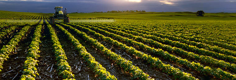 Sprayers-Featured-Image