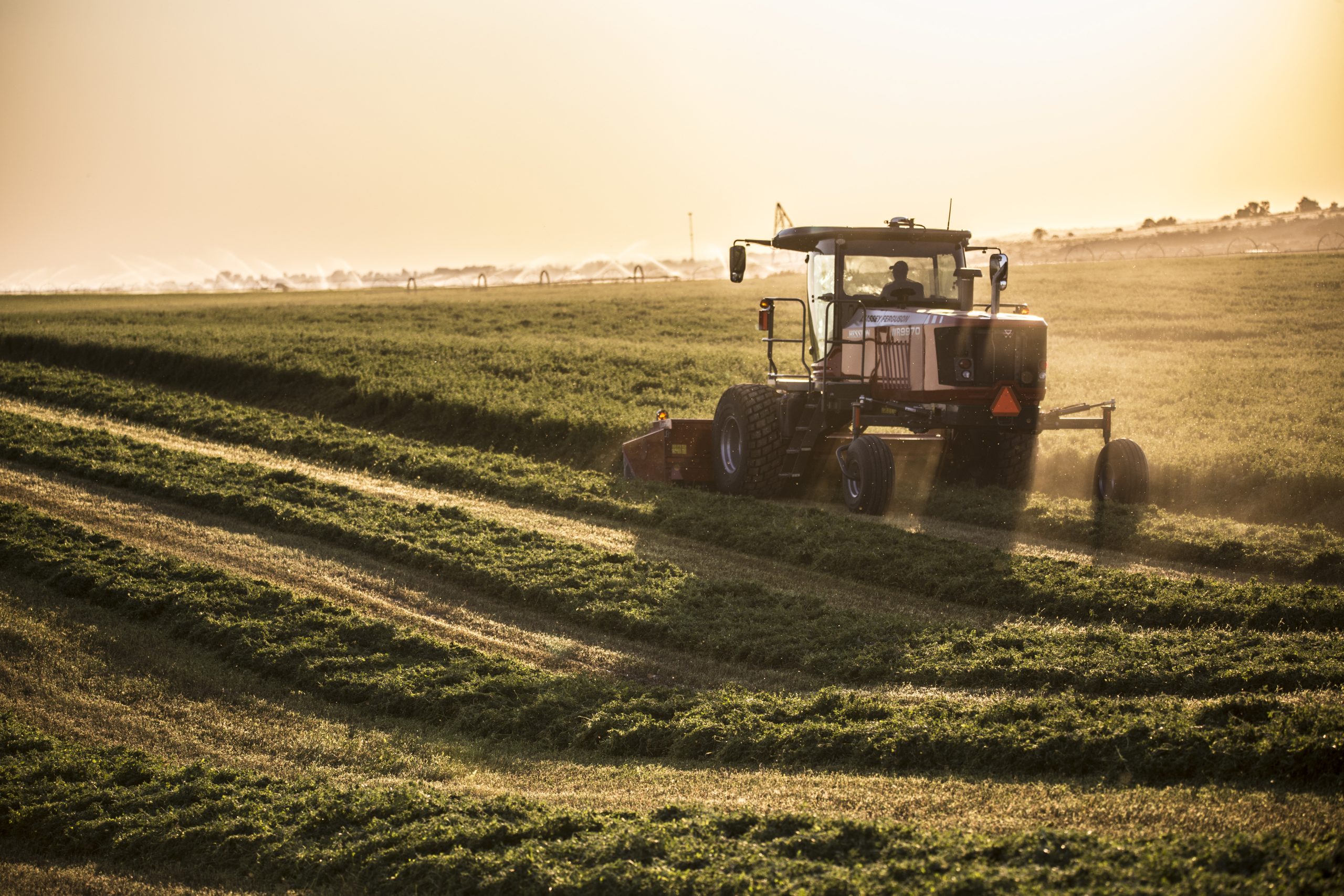 hs17pv001da-hesstonbymasseyferguson-wr9900-selfpropelledwindrower-alfalfa-idaho-2017-IMG-9418-1-scaled